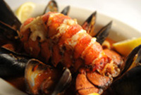 Orlando Premiere Wine and Dine - Windermere Florida